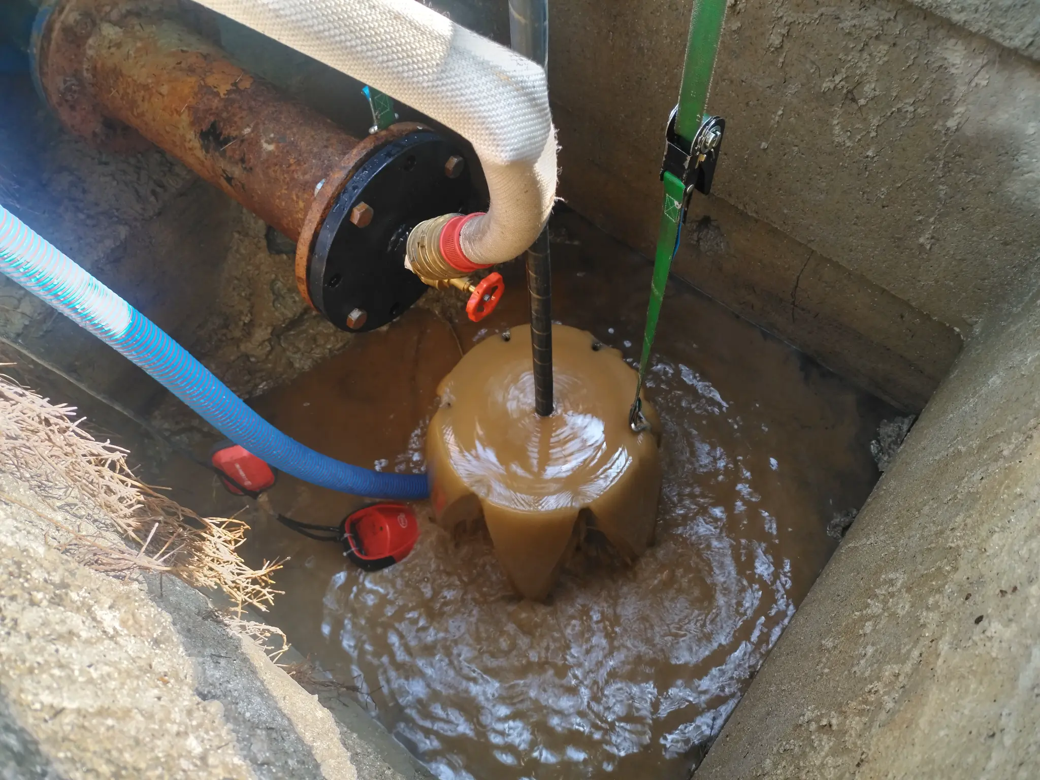 Manutenzione e Pulizia